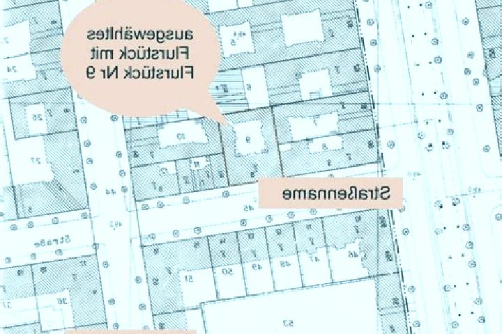 Ellie, 36 — Escort in Hamberge, Germany