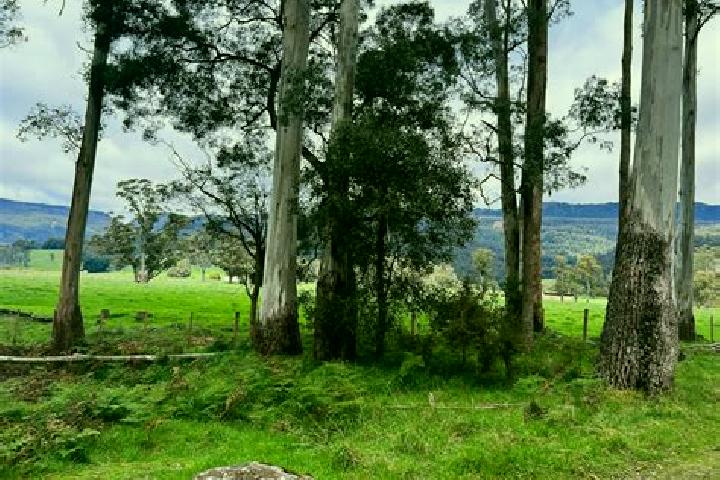 Ellie, 36 — Escort in Mole Creek, Australia