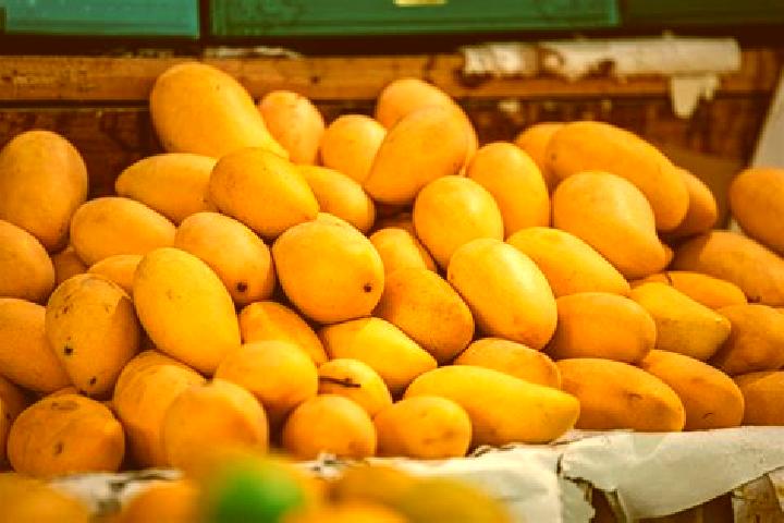 Ellie, 37 — Escort in Colonia Mangos (El Quemado), Mexico