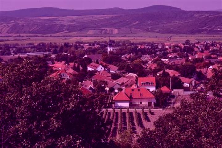 Ellie, 37 — Escort in Tokaj, Hungary