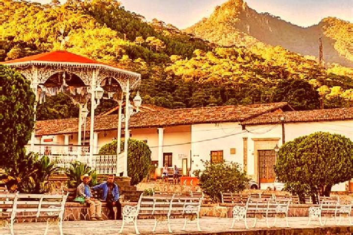 Ellie, 38 — Escort in Ejido de San Sebastian, Mexico