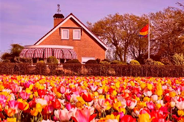 Ellie, 39 — Escort in Baak, Netherlands