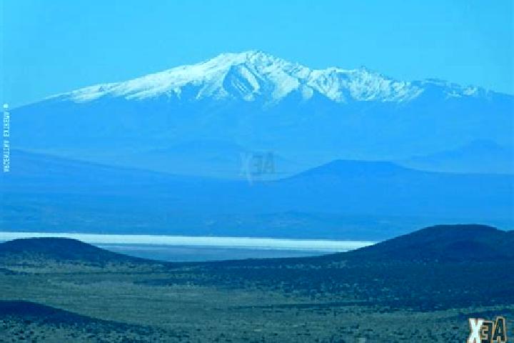 Ellie, 39 — Escort in El Nihuil, Argentina