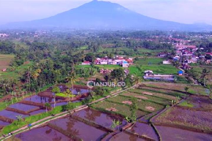 Ellie, 39 — Escort in Manis Karangtengah, Indonesia