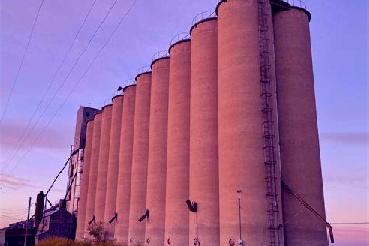 Ellie, 39 — Escort in The Silos, United States
