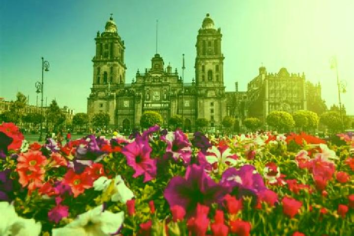 Emily, 20 — Escort in Ciudad de Huitzuco, Mexico