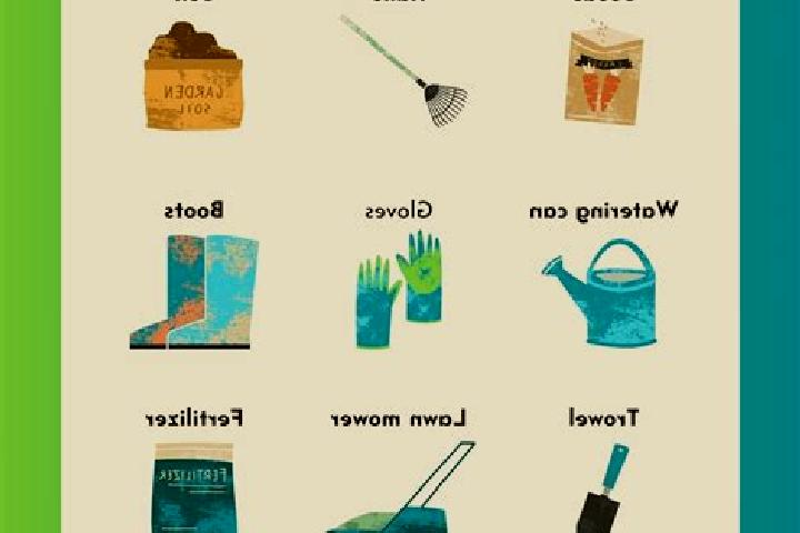 Emily, 20 — Escort in Ramba, China
