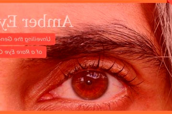 Emily, 21, a red amber-eyed caribbean companion based in Kolonje. Offering A-Level, GFE, Girlfriend Experience. Available for incall and outcall, day and eve...