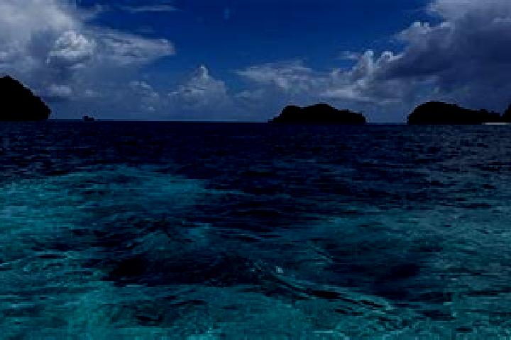 Emily, 22 — Escort in Sonsorol Village, Palau
