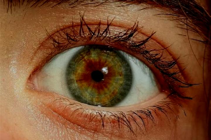 Emily, 24, a red hazel-eyed mediterranean companion based in Ajima. Offering Fetish, Duos, OWO. Available for incall and outcall, day and evening dates.