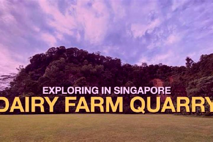 Emily, 30 — Escort in Dairy Farm, Singapore