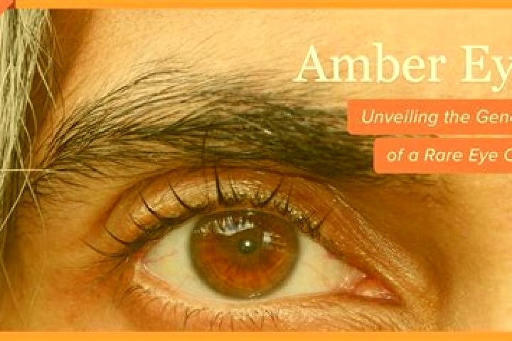 Emily, 34, a black amber-eyed indian companion based in Baisweil. Offering 69, OWO, Dinner Date, Massage. Available for incall and outcall, overnight booking...