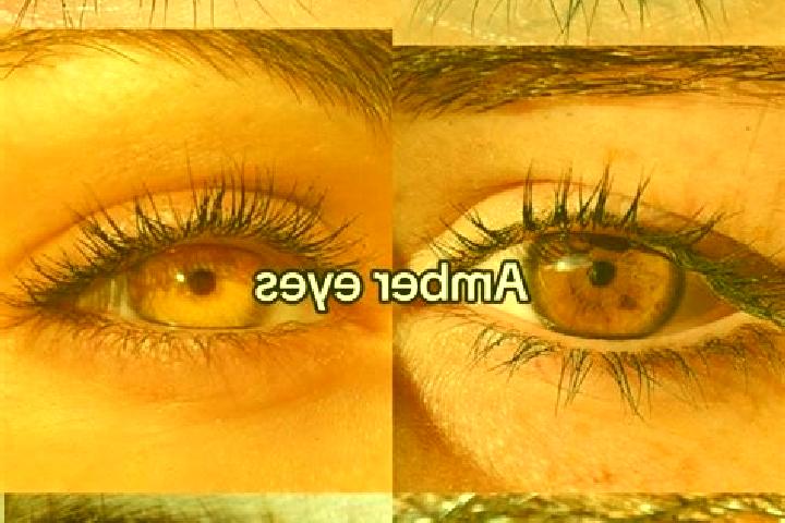 Emily, 34, a brunette amber-eyed middle eastern companion based in Lhommaize. Offering Striptease, BDSM, Erotic Massage. Available for incall and outcall, da...