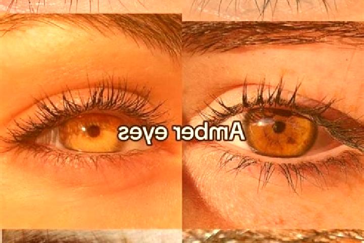 Emily, 34, a chestnut amber-eyed indian companion based in Chizhou. Offering Dinner Date, OWO, Fetish. Available for incall and outcall, overnight bookings a...