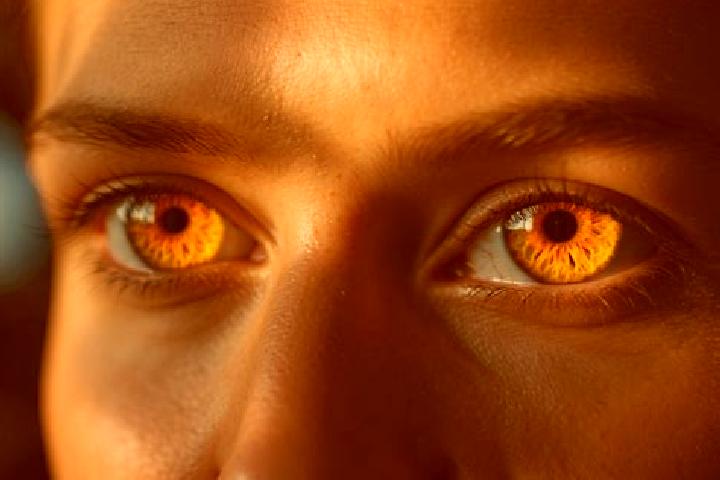 Emily, 35, a auburn amber-eyed mediterranean companion based in Kornharpen. Offering 69, Roleplay, Domination. Available for incall and outcall, day and even...
