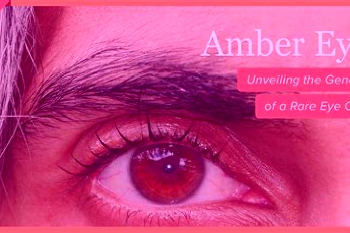 Emily, 35, a black amber-eyed middle eastern companion based in Bilce. Offering Erotic Massage, GFE, Striptease, Prostate Massage. Available for incall and o...