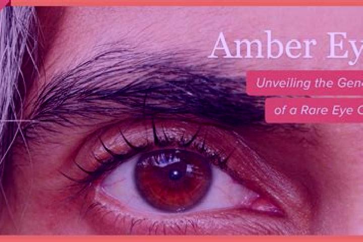 Emily, 35, a red amber-eyed caucasian companion based in Buraca. Offering Erotic Massage, BDSM, Domination, GFE. Available for incall and outcall, overnight ...