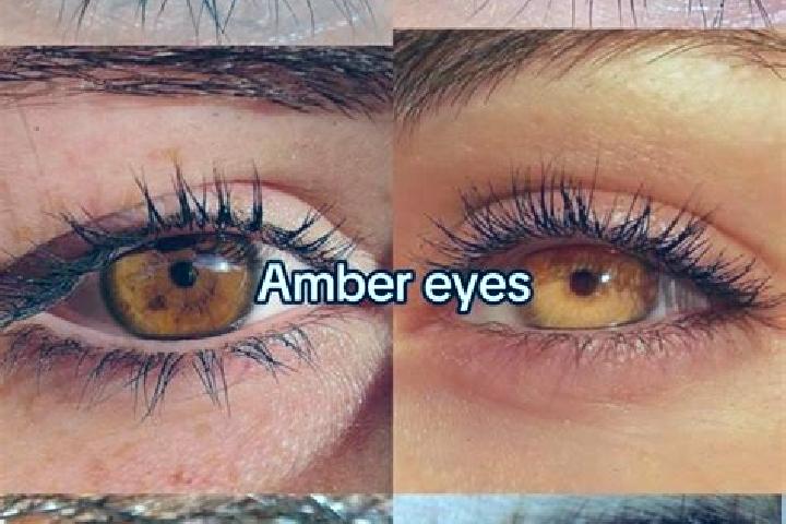Emily, 37, a chestnut amber-eyed latina companion based in Wexford/Maryvale. Offering Overnight, Fetish, Duos, CIM, Prostate Massage. Available for incall an...