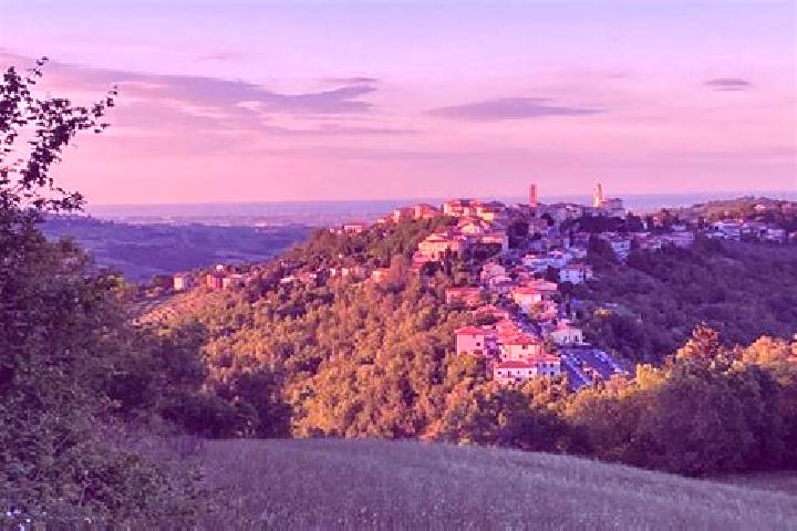 Emily, 37 — Escort in Sogliano al Rubicone, Italy