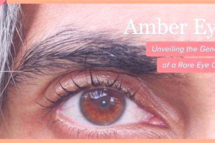 Emily, 38, a black amber-eyed mixed companion based in Solna. Offering Erotic Massage, Massage, Fetish, Couples. Available for incall and outcall, overnight ...
