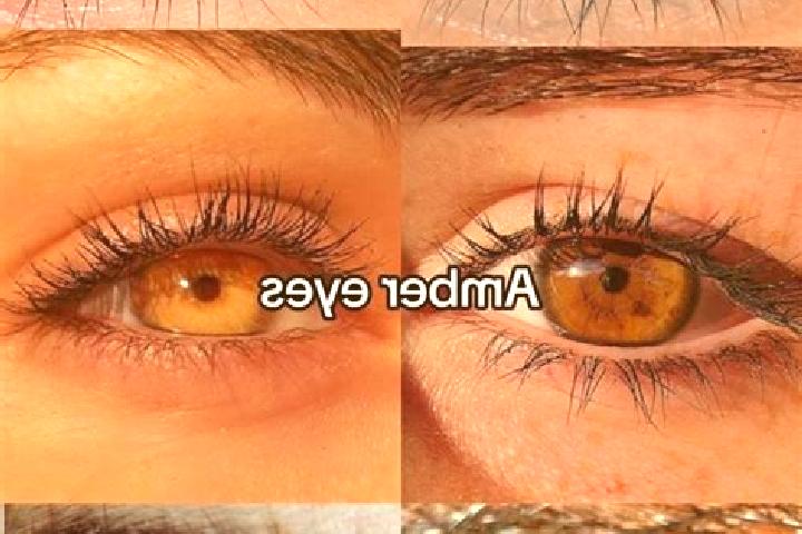 Emma, 20, a chestnut amber-eyed mixed companion based in Kinderdorf Sankt Isidor. Offering Dinner Date, Travel Companion, A-Level, Domination. Available for ...