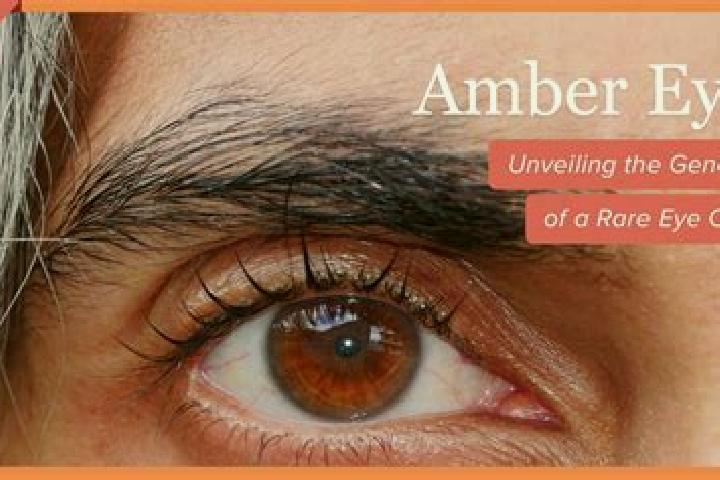 Emma, 20, a red amber-eyed middle eastern companion based in Villalpando. Offering Couples, Overnight, Striptease. Available for incall and outcall, overnigh...