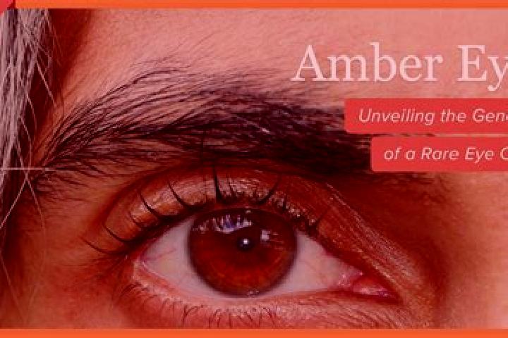Emma, 23, a red amber-eyed indian companion based in Libavske Udoli. Offering GFE, BDSM, 69. Available for incall and outcall, day and evening dates.