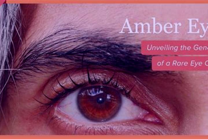 Emma, 23, a red amber-eyed mixed companion based in Falfield. Offering CIM, Girlfriend Experience. Available for incall and outcall, overnight bookings avail...