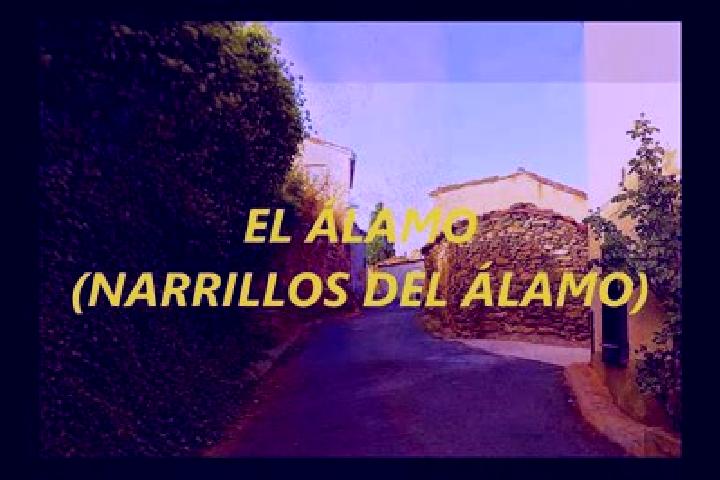 Emma, 27 — Escort in Narrillos del Alamo, Spain