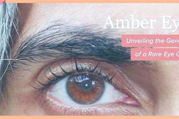 Emma, 28, a red amber-eyed caribbean companion based in Zemmer. Offering OWO, Striptease, Domination. Available for incall and outcall, overnight bookings av...