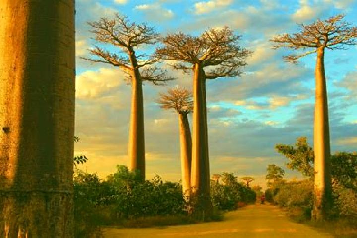 Emma, 28 — Escort in Morondava, Madagascar