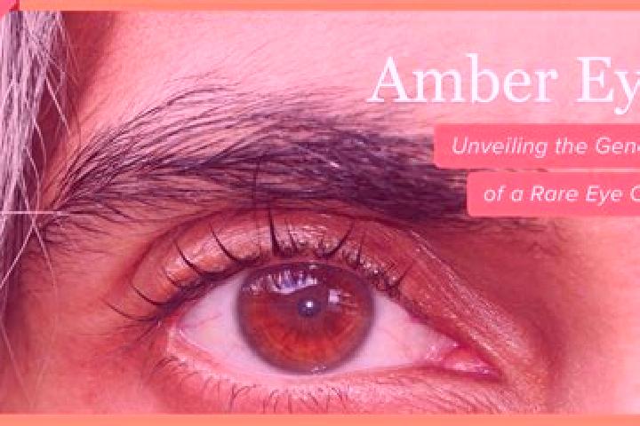 Emma, 31, a black amber-eyed ebony companion based in White Center. Offering Massage, Overnight, CIM, Striptease. Available for incall and outcall, overnight...