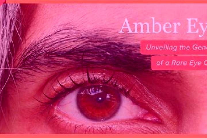Emma, 33, a black amber-eyed asian companion based in Umarkhanguda. Offering Party Girl, Deep French Kissing, GFE, Dinner Date. Available for incall and outc...