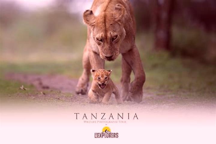 Emma, 33 — Escort in Kintinku, Tanzania