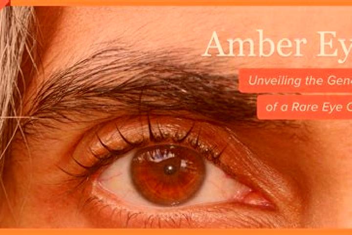 Emma, 34, a dark blonde amber-eyed caribbean companion based in Dalmuir. Offering OWO, Fetish, Striptease. Available for incall and outcall, day and evening ...