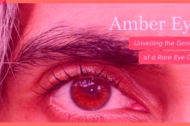 Emma, 34, a red amber-eyed asian companion based in Cologna. Offering Erotic Massage, Couples, GFE, Roleplay. Available for incall and outcall, day and eveni...