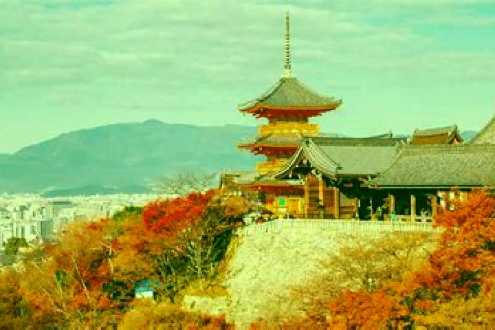 Emma, 35 — Escort in Otawara, Japan