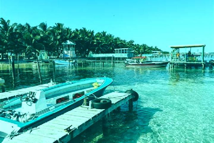 Emma, 36 — Escort in Caye Caulker, Belize