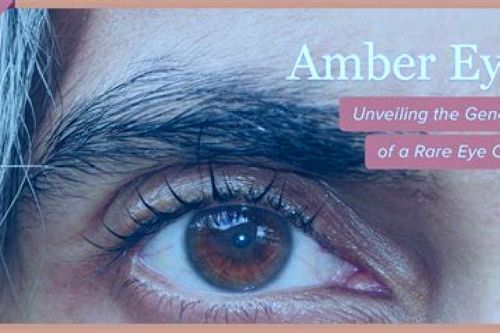 Emma, 37, a black amber-eyed european companion based in Texcaltic. Offering Girlfriend Experience, Fetish, Dinner Date, CIM. Available for incall and outcal...