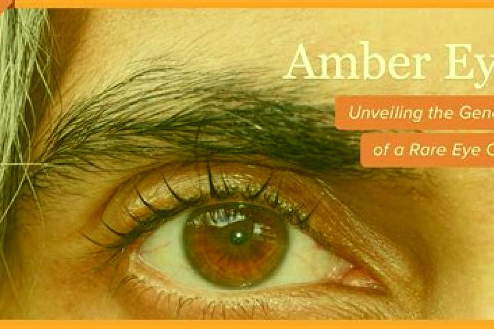 Emma, 38, a black amber-eyed caribbean companion based in Celemli. Offering Erotic Massage, CIM, Prostate Massage. Available for incall and outcall, overnigh...