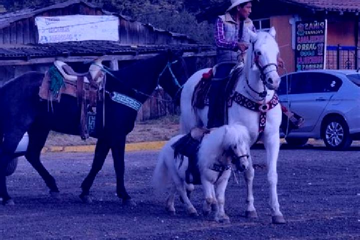Emma, 38 — Escort in La Marquesa, Mexico