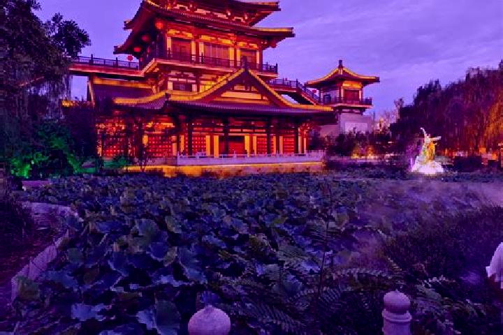 Emma, 38 — Escort in Shangyang, China