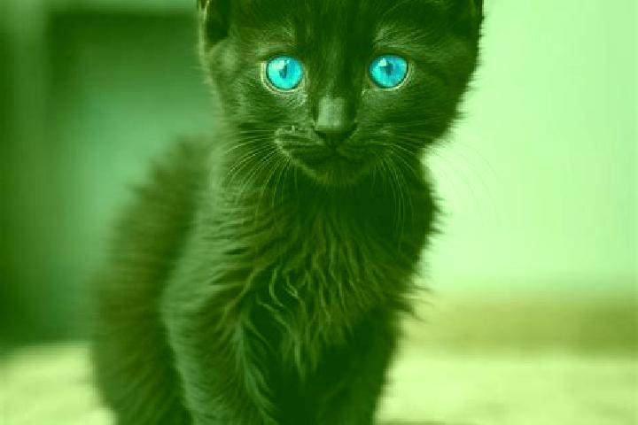 Emma, 39, a black blue-eyed mediterranean companion based in Ruprechtov. Offering Tantra, Party Girl, Domination, Roleplay. Available for incall and outcall,...