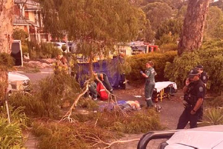 escort Aberfoyle Park