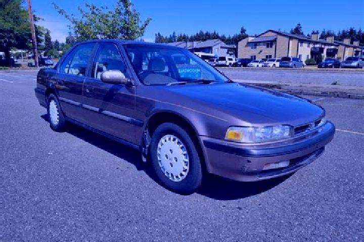 escort Accord