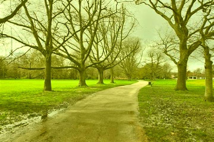 escort Acton Park