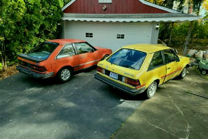 escort Adamowka
