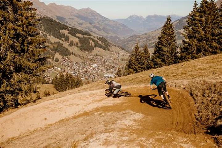 escort Adelboden