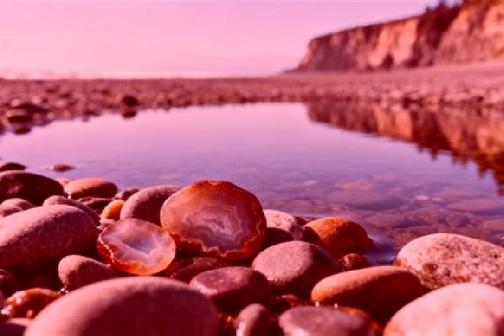 escort Agate Beach
