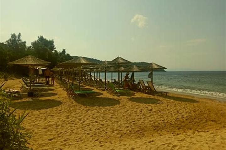 escort Agia Paraskevi Lamieon